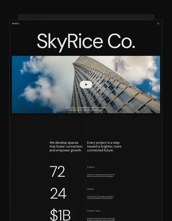 SkyRice