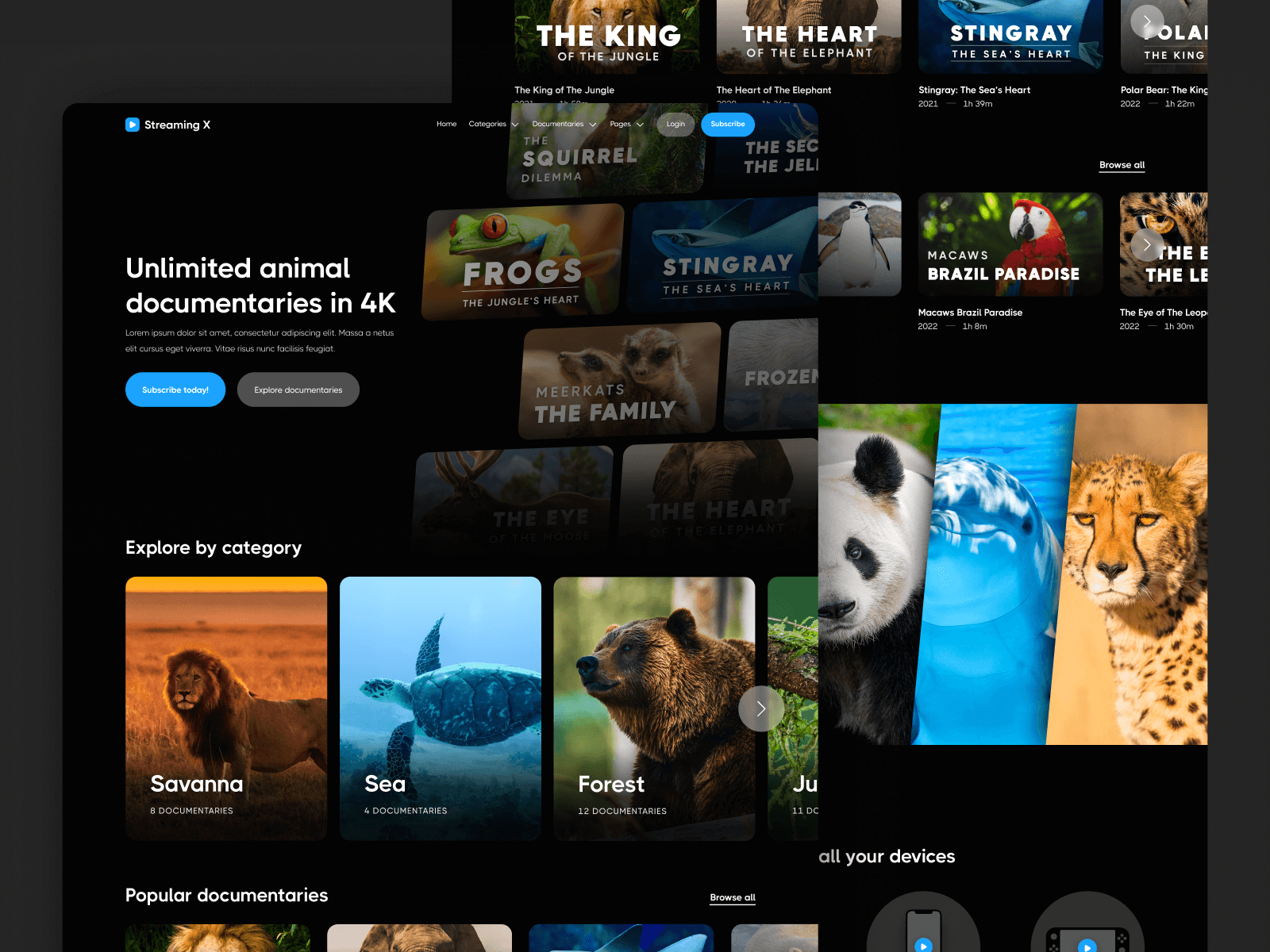 Video Streaming Webflow Template