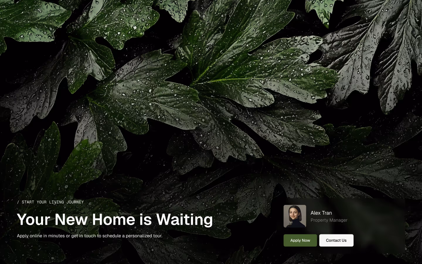 Terris – 26 pages included