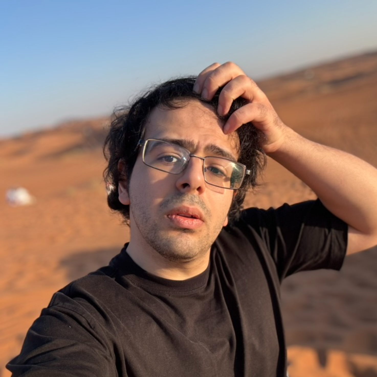 Avatar image for Roman Avshalumov