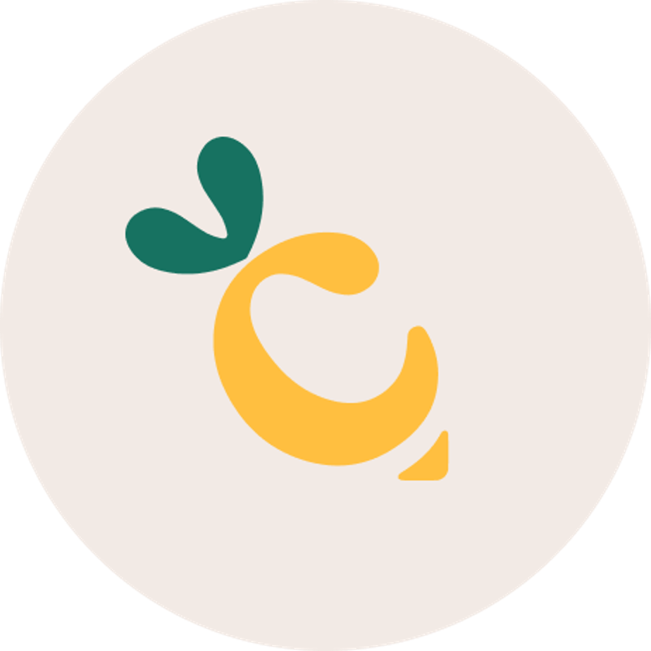 Avatar image for The Carrot Cake Studio - Singapore Webflow Agency