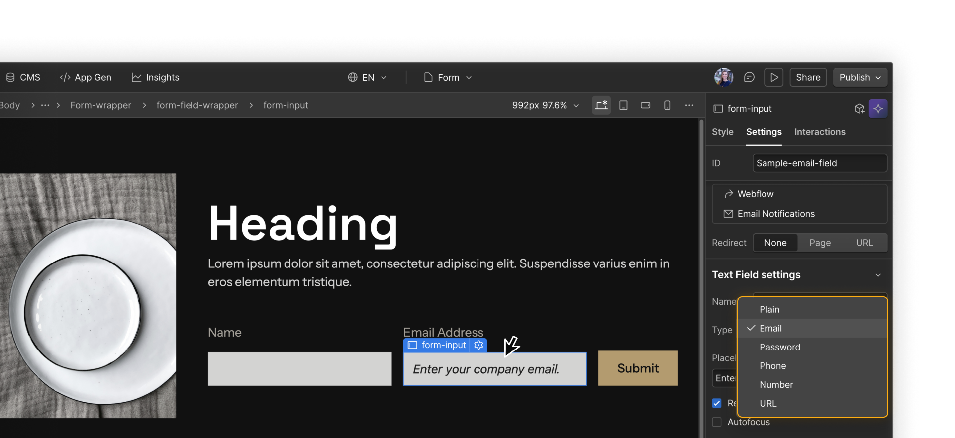A form input field’s settings with a dropdown for ‘Type,’ showing several options, from Plain to URL.