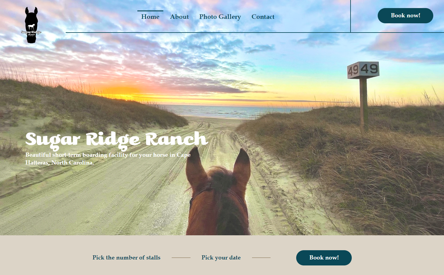 Image looking out over the top of a horse’s ears onto a beach at sunrise.
