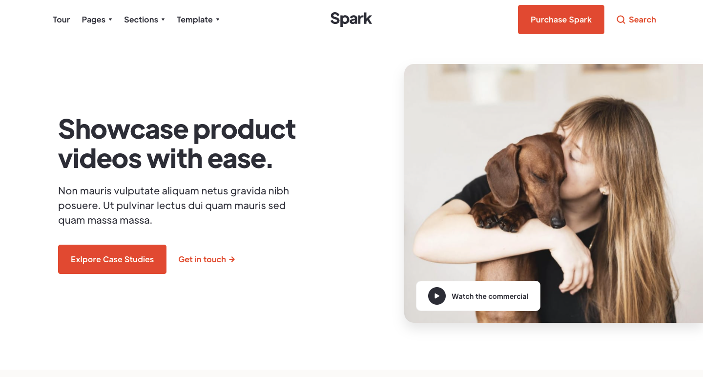 spark templtae showcase